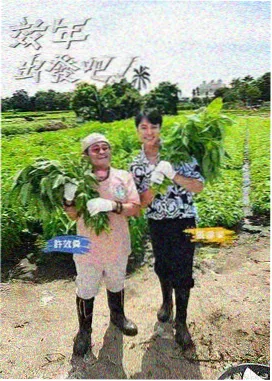 深夜放映室
